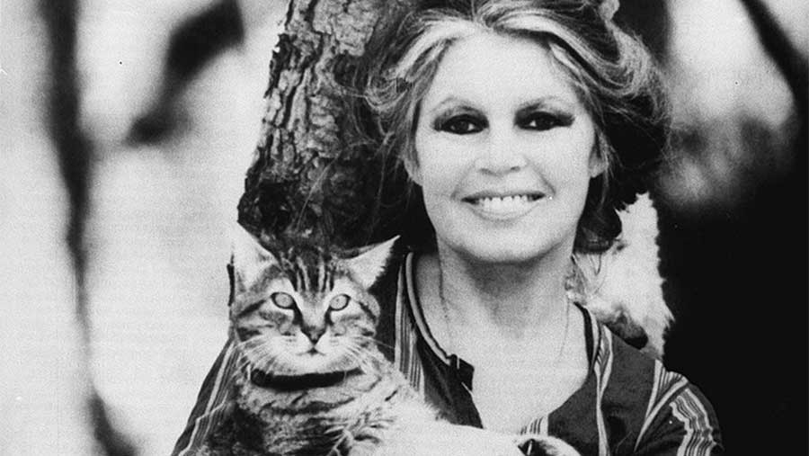 Brigitte Bardot : le deuil, la haine et ce que notre époque révèle d’elle-même
