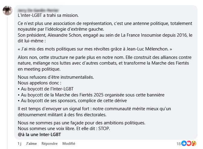 LFI marche fierté paris 2025