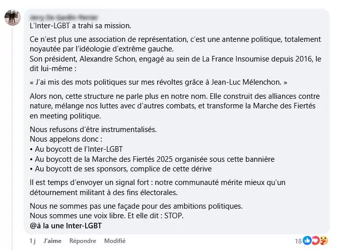LFI marche fierté paris 2025