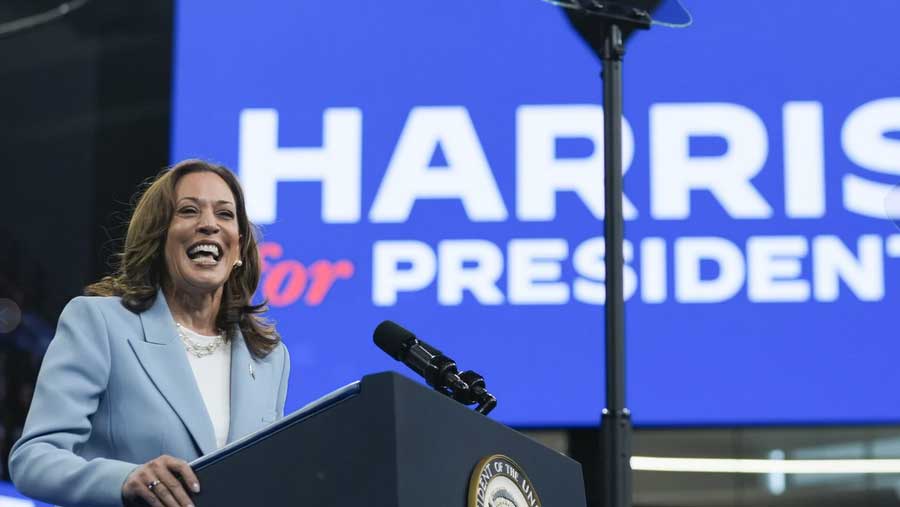 Kamala Harris conserve une avance étroite dans un nouveau sondage national