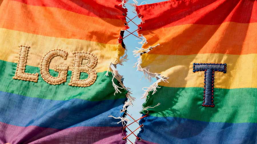 Orientation sexuelle et identit&eacute; de genre : pourquoi certains LGB contestent l&rsquo;amalgame avec le T