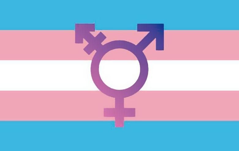 drapeau-transgenre-3dd46273 Livres Lesbiens - Réflexions autour des thèmes lesbiens