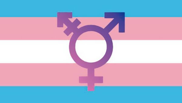 drapeau-transgenre-7c829eed Billets d'humeur | actualités lesbiennes